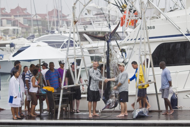 Seychelles Team Island Star catches 212 kg Blue Marlin
