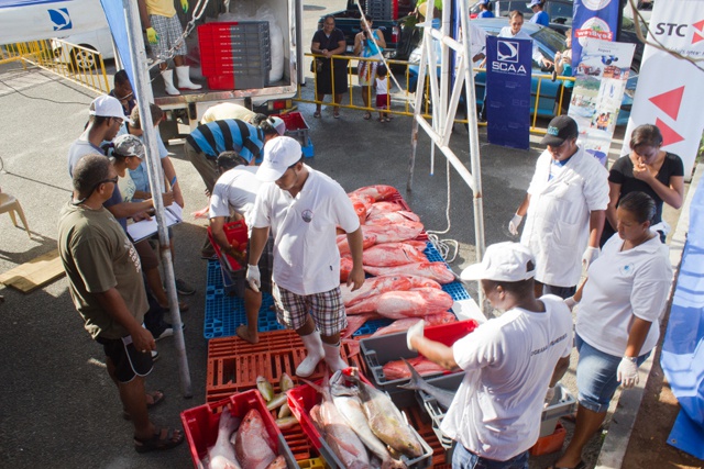 Seychelles’ Team Island Star wins another fishing tournament