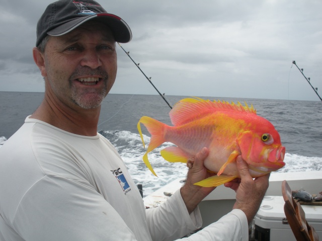 A gorgeous catch - rare fish caught in Seychelles waters