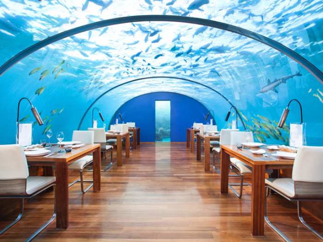 Dinner for two – under the sea! The underwater restaurant that will leave your head swimming