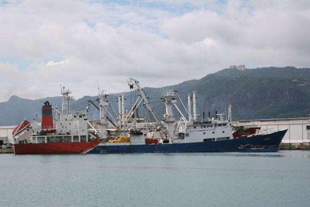 L’Union Européenne autorise des thoniers des Seychelles à pêcher dans les eaux de Mayotte