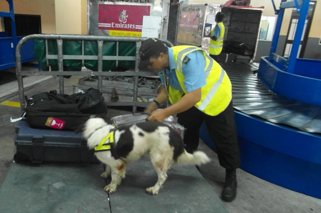 Determined to sniff out illegal cargo -Seychelles joins Eastern and Southern African states in operation