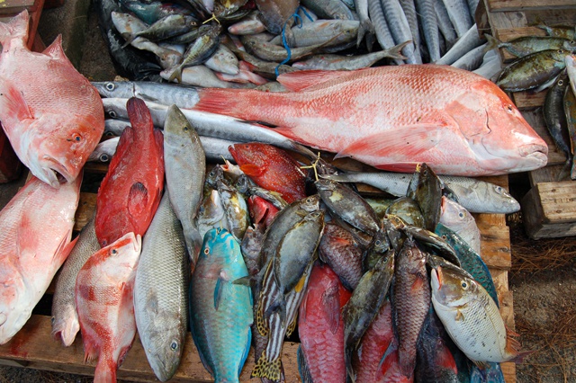 Low supply and increased demand raises fish prices in Seychelles
