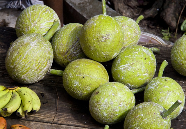 Scientists realize bread DOES grow on trees – breadfruit tapped as solution to food security danger