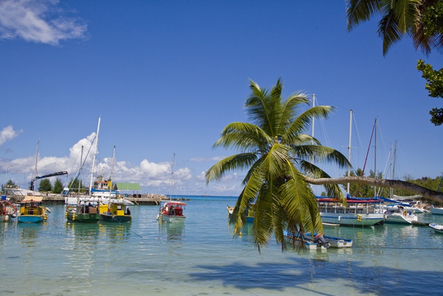 Seychelles anglers in 24 hour battle to catch the heaviest of 24 fish species this weekend in SSFC's 11th La Digue tournament