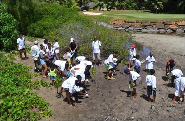 Celebrating World Wetlands Day: for Seychelles, the future of wetland protection lies with hotels