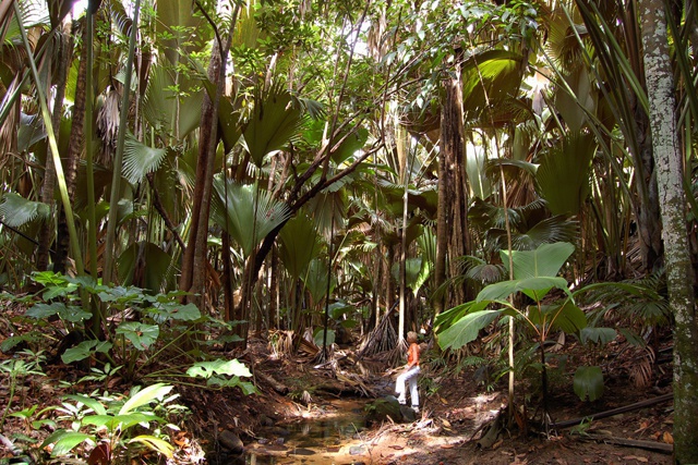 Les sites du patrimoine mondial de l'UNESCO aux Seychelles reconnus  comme des modèles pour lier le patrimoine culturel et la nature.