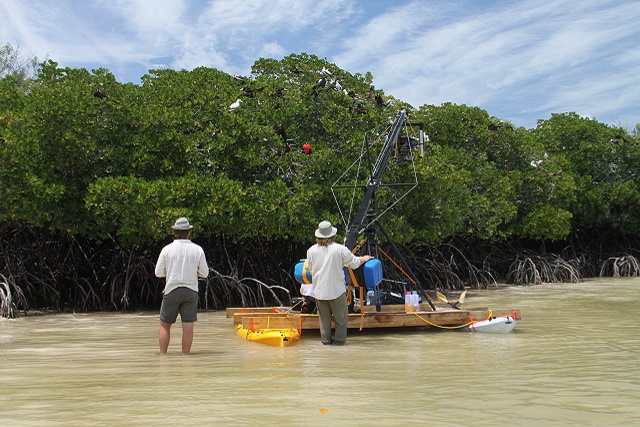 L’aventure de la nature sauvage des Seychelles « Aldabra - Once Upon an Island »  bientôt à l’écran.