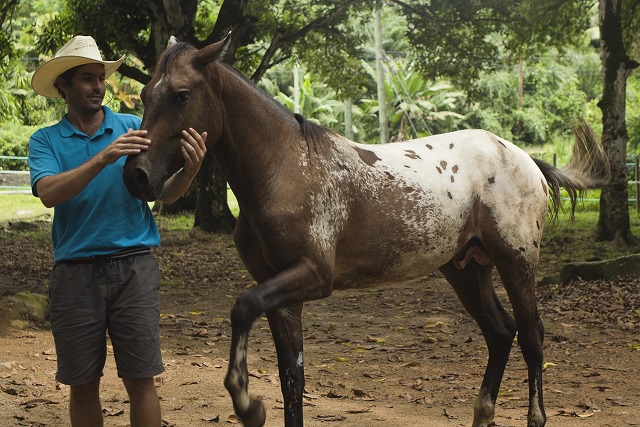 Coming soon: Gallop across Seychelles’ white sandy beaches