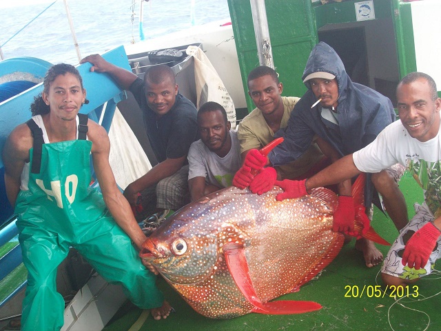 Seychellois fisherman makes rare catch of warm-blooded moonfish