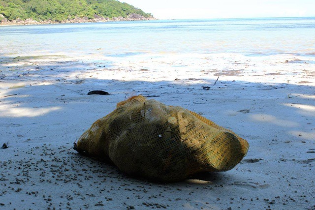 Seychelles' team cleaning beaches as part of Aussie eco-challenge