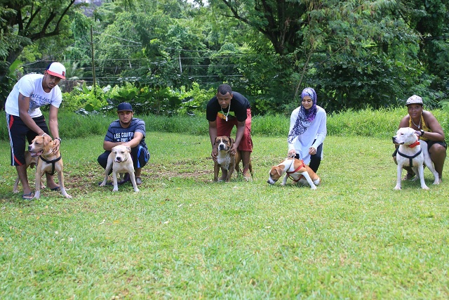 Puppy love! Seychelles' first pet fun fair raises funds for animal shelter
