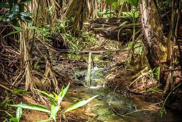 Les communautés des Seychelles aident à protéger et à conserver les sources d'eau douce