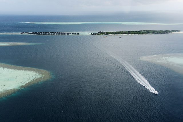 'Alarming' bleaching of Maldives corals: conservationists