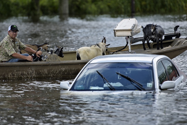 11 dead, 40,000 homes flooded in Louisiana