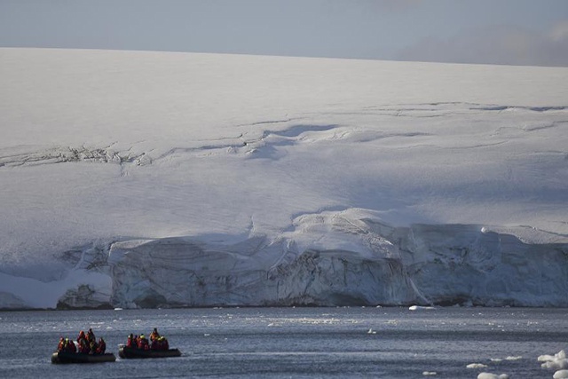 Le plus grand sanctuaire marin au monde verra le jour en Antarctique