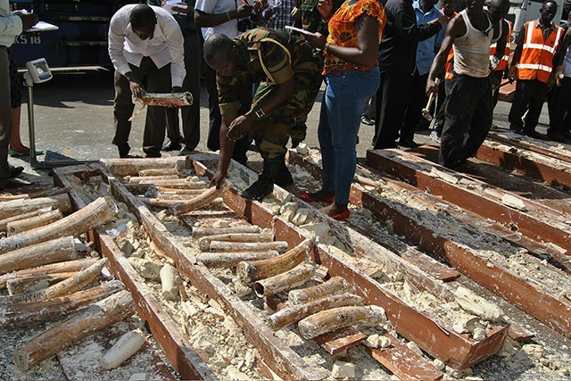 Chine: le commerce de l'ivoire a de la défense à revendre