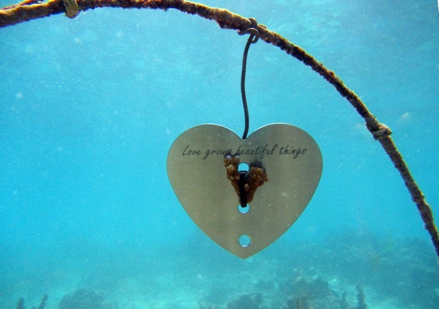 Valentine's Day island activity: 'Love Grows Beautiful Things'
