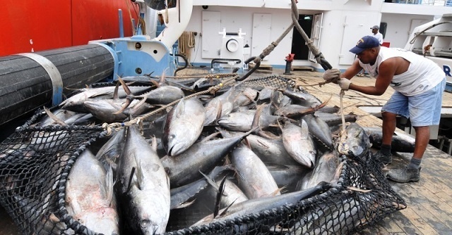 Les Maldives expriment leur désaccord avec la position des Seychelles visant à réduire les prises de thon