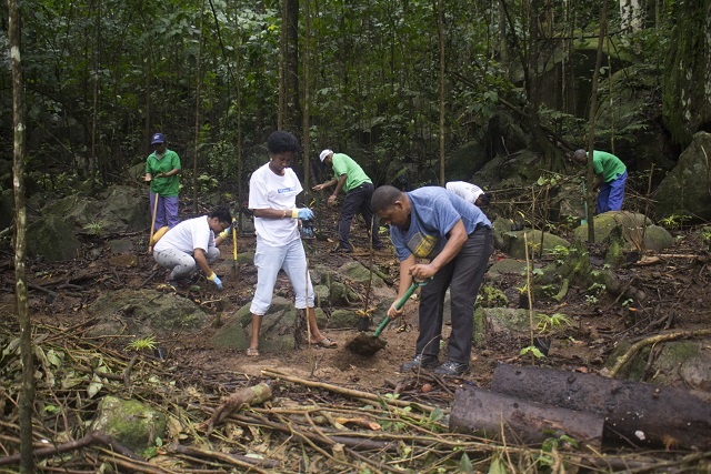 Seychelles plants 400 palm trees as part of Queen’s Commonwealth Canopy initiative