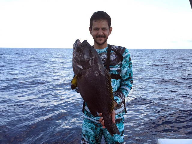 Big, big fish: Grouper caught in Seychelles could set world record