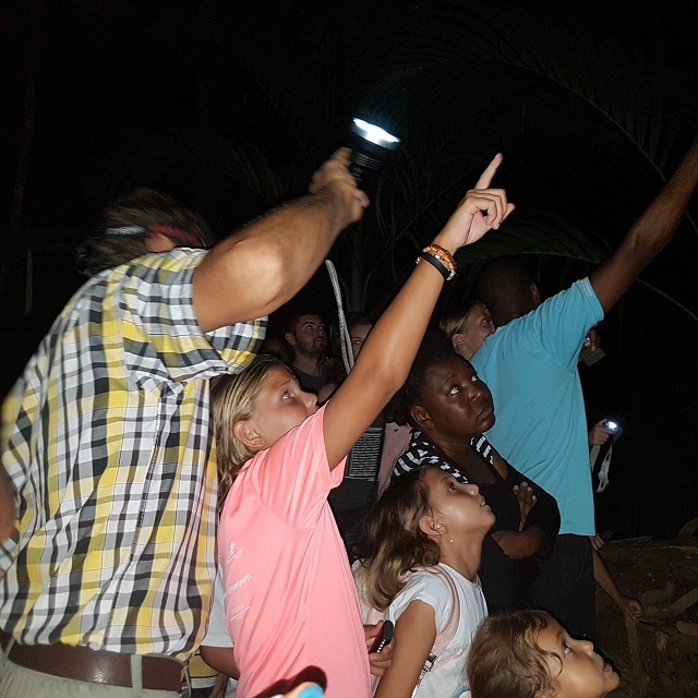 Popular island safari: Night-time expedition shows Seychelles’ endemic palm forest