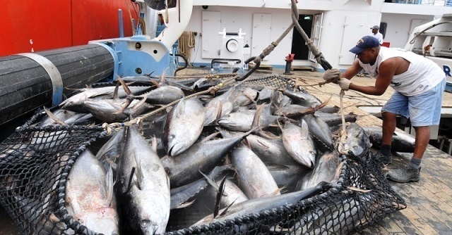 Les pays membres d'un organisme régional acceptent la proposition des Seychelles concernant la restriction des captures de thon