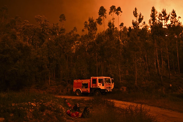 Au moins 43 morts dans un violent feu de forêt au Portugal