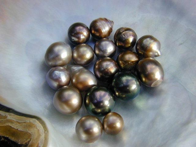 Pearls the colour of the rainbow available in unique shop in Seychelles