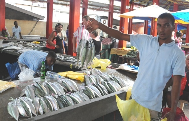 With sea waters calm, mackerel is in abundance in Seychelles' markets