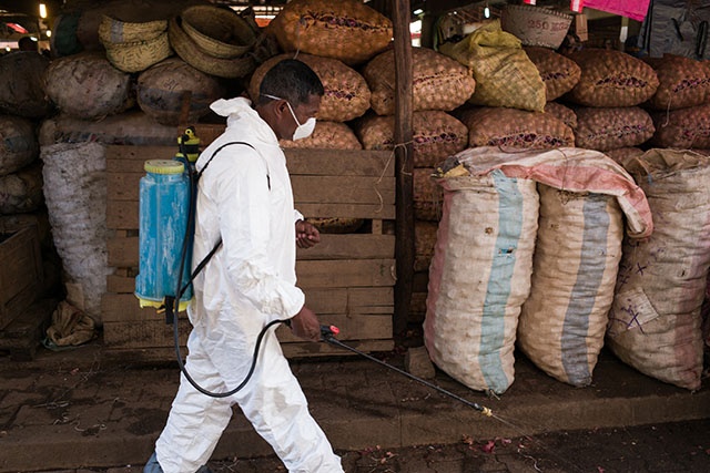 L'épidémie de peste continue à sévir à Madagascar: 74 morts