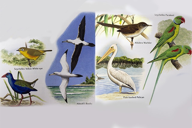 6 extinct birds once found in Seychelles