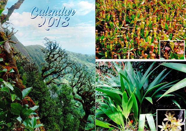 12 exotic plants found inside a new calendar of Seychelles