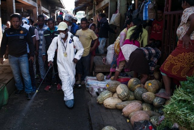 Plague outbreak in Madagascar revived dread of a killer