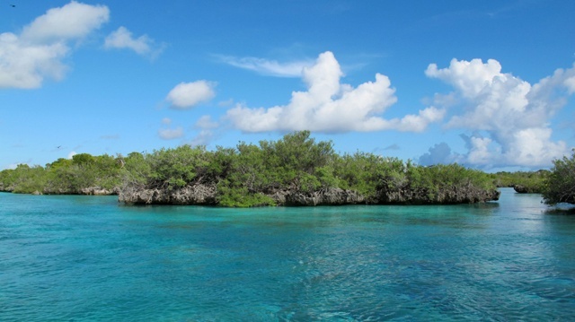 Project brings faraway Aldabra Atoll to visitors on Seychelles’ main island