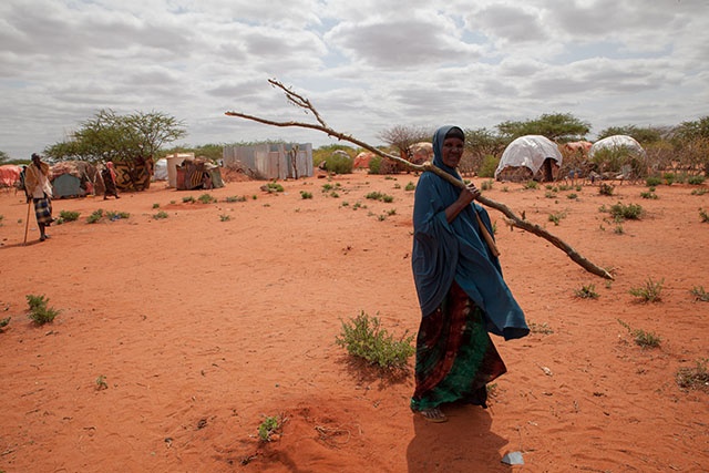 Ethiopie: la sécheresse met en péril le mode de vie nomade