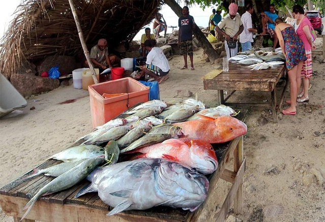 Benefits of fish consumption overcome negative mercury effects, Seychellois scientist says