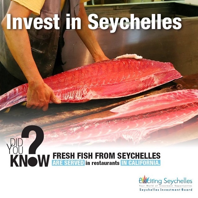 Au premier trimestre l'investissement étranger aux Seychelles atteint 35 millions de dollars