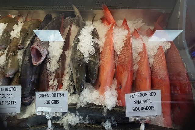 Hausse des exportations de poisson aux Seychelles