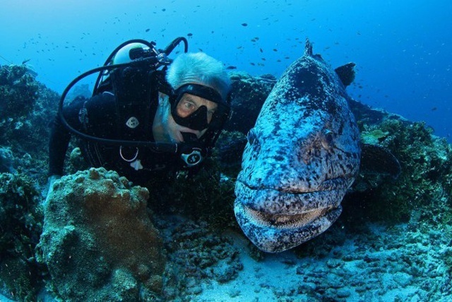 500 mètres de profondeur: des scientifiques britanniques explorent les profondeurs océaniques des Seychelles