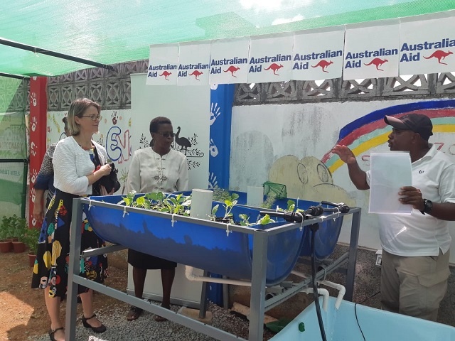 A primary school in Seychelles will grow vegetables using aquaponics