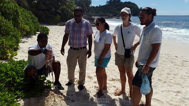 Surveillance of beach in Seychelles to increase after green turtles are poached