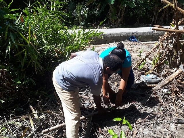 7 500 arbres plantés sur l’île de Praslin aux Seychelles afin de prévenir l’érosion et la dégradation des sols