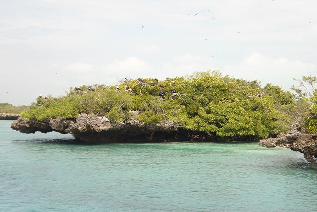Les Seychelles agrandissent la protection autour de deux îles afin de lutter contre la pêche abusive