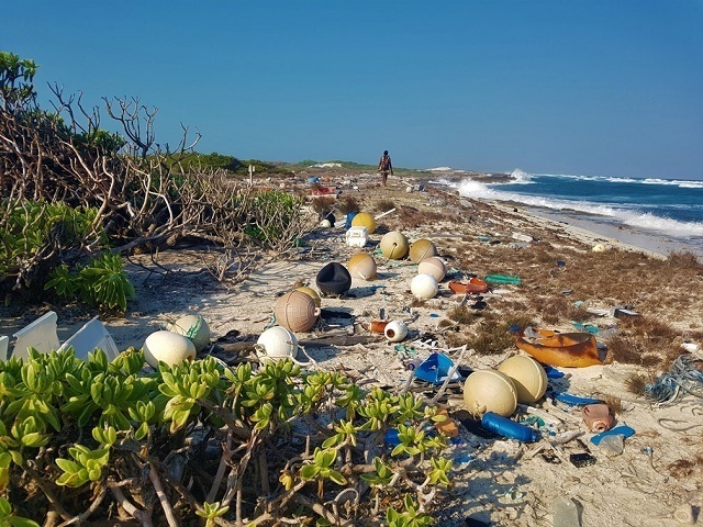Des experts seychellois étudient le problème des déchets marins aux côtés d'autres gestionnaires de sites du patrimoine mondial de l'UNESCO