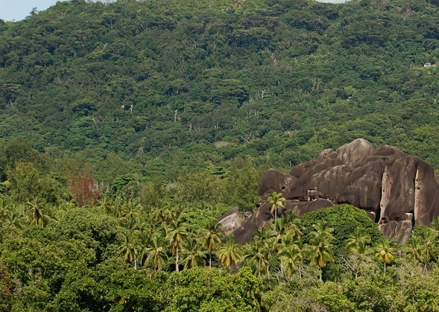 Un nouveau projet de la FAO soutien la gestion durable des forêts et le renforcement des capacités en bioénergie aux Seychelles