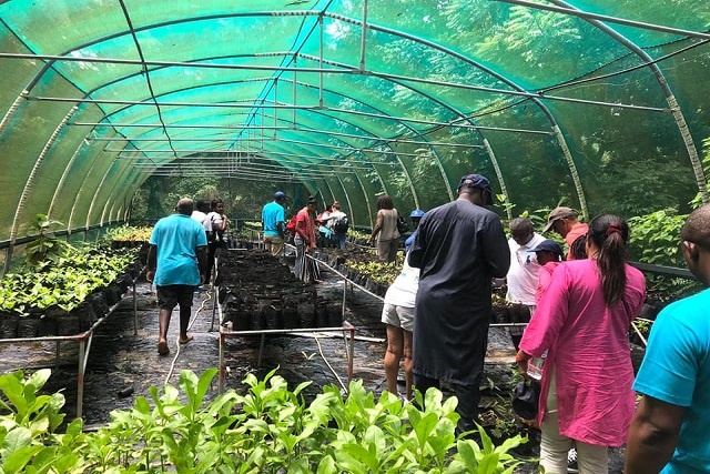 TRASS Seychelles turns 10: Restoring the islands with 15,000 trees a year