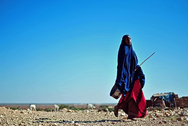 Somalie: des millions de personnes manquent de nourriture à cause de la sécheresse