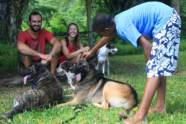 New law in Seychelles protects dogs, seeks to prevent strays beginning in September