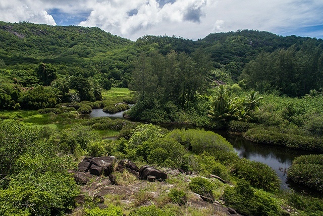 3 wetlands that protect -- and showcase -- Seychelles' unique biodiversity